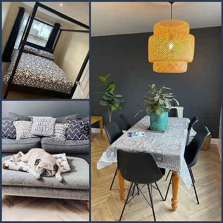 Sea-Haven On Sunrise Ground Floor Holiday Home The Bay ファイリー エクステリア 写真
